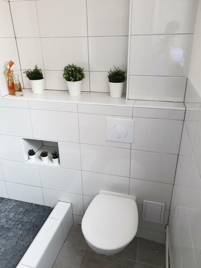 Strasbourg Centre Le 85, Superbe F5, 125M2, 5 Pieces Apartment Luaran gambar