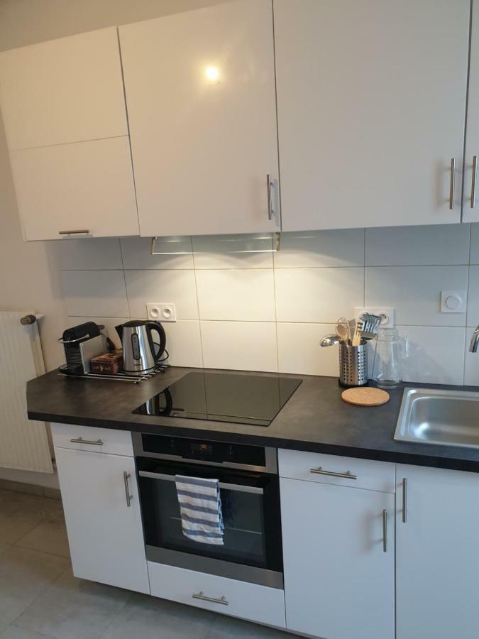 Strasbourg Centre Le 85, Superbe F5, 125M2, 5 Pieces Apartment Luaran gambar