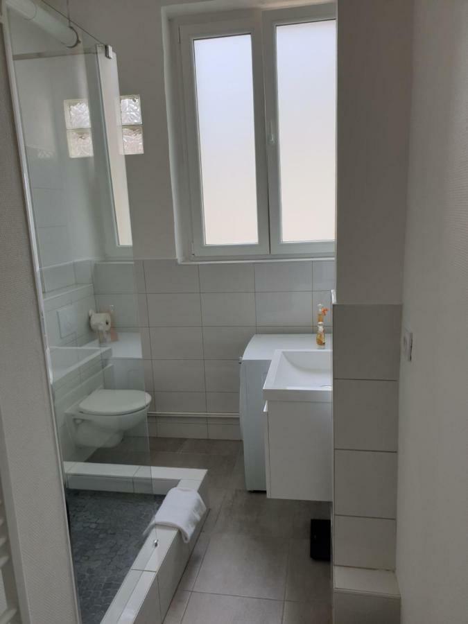 Strasbourg Centre Le 85, Superbe F5, 125M2, 5 Pieces Apartment Luaran gambar