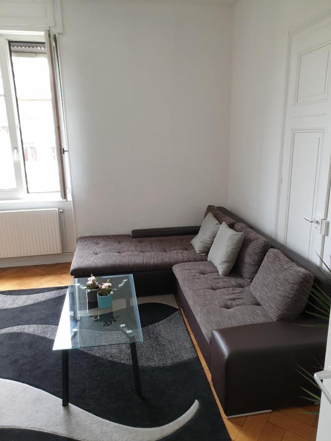 Strasbourg Centre Le 85, Superbe F5, 125M2, 5 Pieces Apartment Luaran gambar